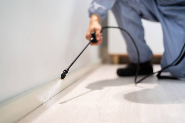 Licensed Pest Control service in Robinhood, MS - Show Me Pest Control