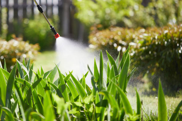 24/7 Emergency Mosquito Control experts in Robinhood, MS
