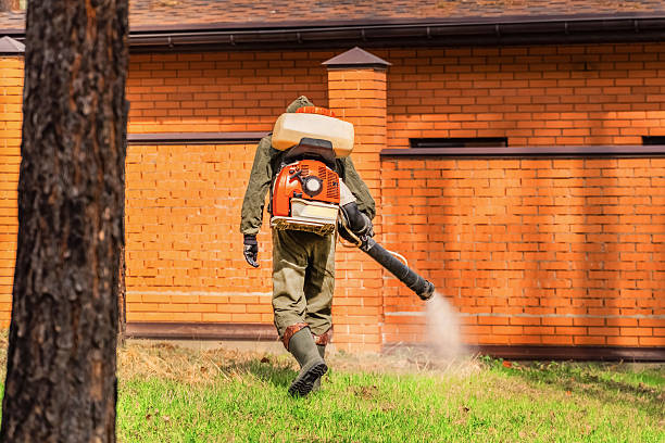 Top rated local Mosquito Control specialists in Robinhood, MS